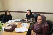 برگزاری جلسه اطلس شاخص های سلامت سالمندان در شبکه بهداشت و درمان اسلامشهر  